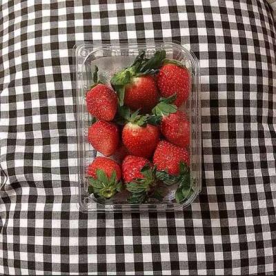 微信水果头像图片之草莓系列 第8张