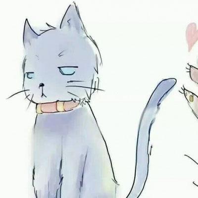 2个猫咪情侣头像一左一右 可爱动物系列 第11张