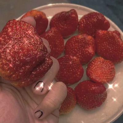 微信水果头像图片之草莓系列 第3张