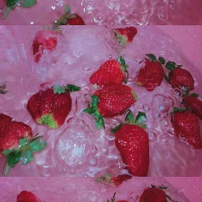 微信水果头像图片之草莓系列 第16张