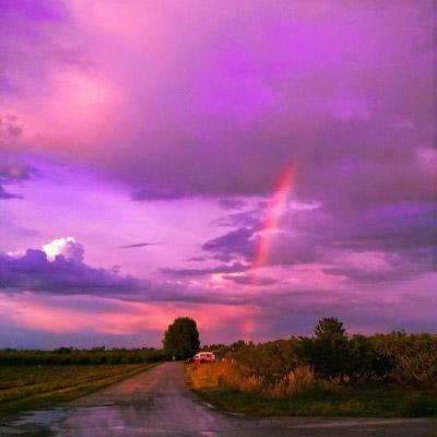 雨后彩虹图片真实照片 最漂亮的唯美的彩虹图片大全 第12张