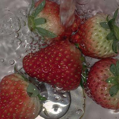 微信水果头像图片之草莓系列 第13张