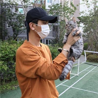 男生抱猫头像2018高清图片 我真的好想和你躲一辈子猫猫 第8张