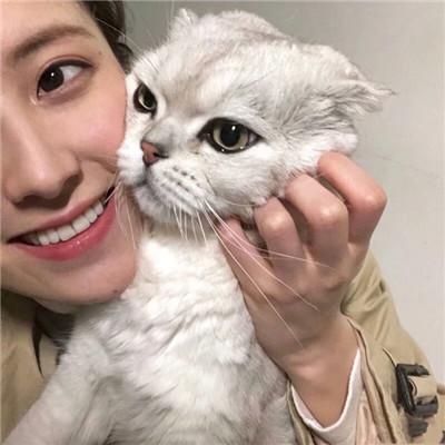 女生抱着猫猫爱心满满头像 你是最特别的那一个 第9张