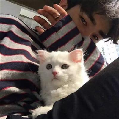 男生抱猫头像2018高清图片 我真的好想和你躲一辈子猫猫 第5张