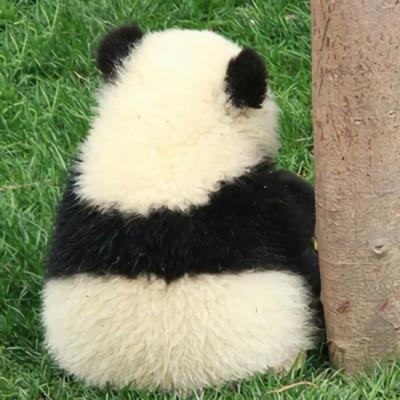 2021最新版微信很可爱的熊猫头像 很有个性的微信头像大全 第12张