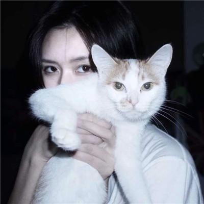 女生抱着猫猫爱心满满头像 你是最特别的那一个 第6张