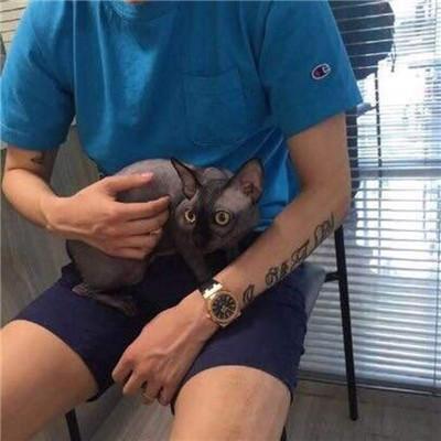 男生抱猫头像2018高清图片 我真的好想和你躲一辈子猫猫 第13张