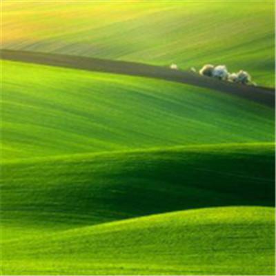 微信最吉利的好看头像绿色草原 好看又吉利的风景微信头像 第6张