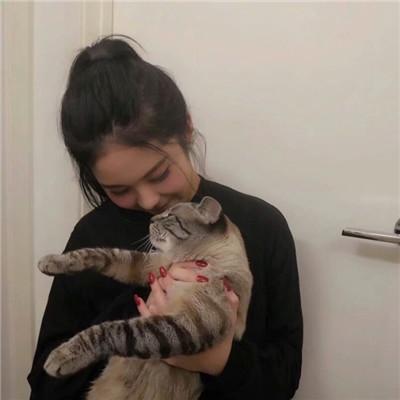 女生抱着猫猫爱心满满头像 你是最特别的那一个 第8张